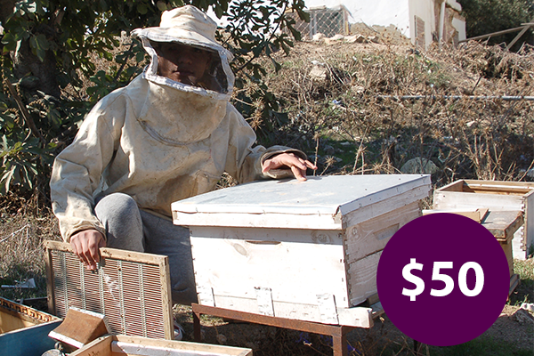 $50: Beehives to Expand a Honey Business