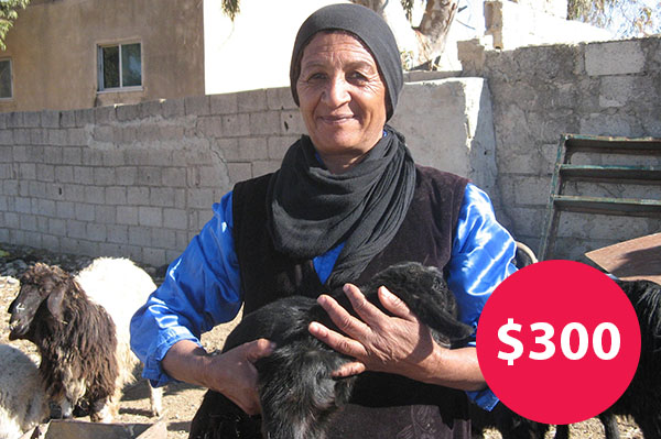 $300: Buy a Herd of Goats