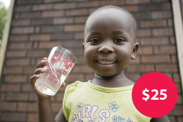 $25: Water Filtration System