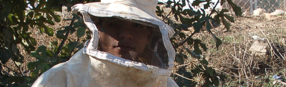Beehives to Expand a Honey Business